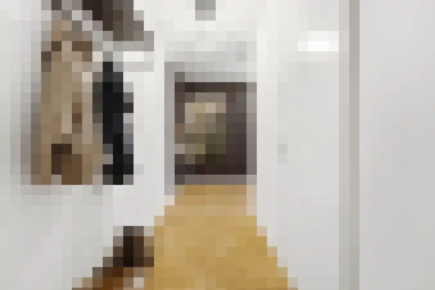 Schouwstraat 15 Nieuw-Lekkerland thumbnail 5