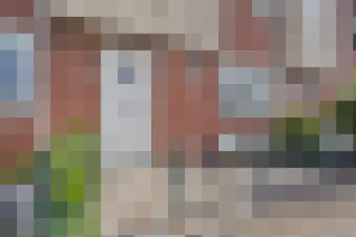 Schouwstraat 19 Lisse thumbnail 30