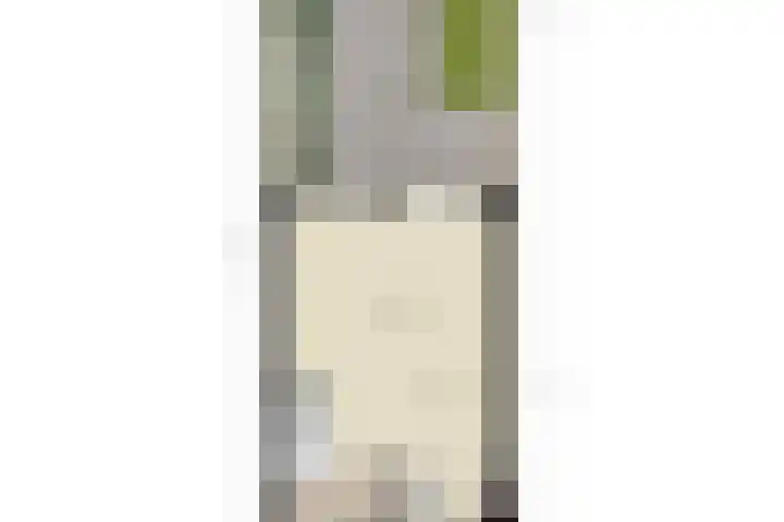 Schouwstraat 19 Lisse thumbnail 36