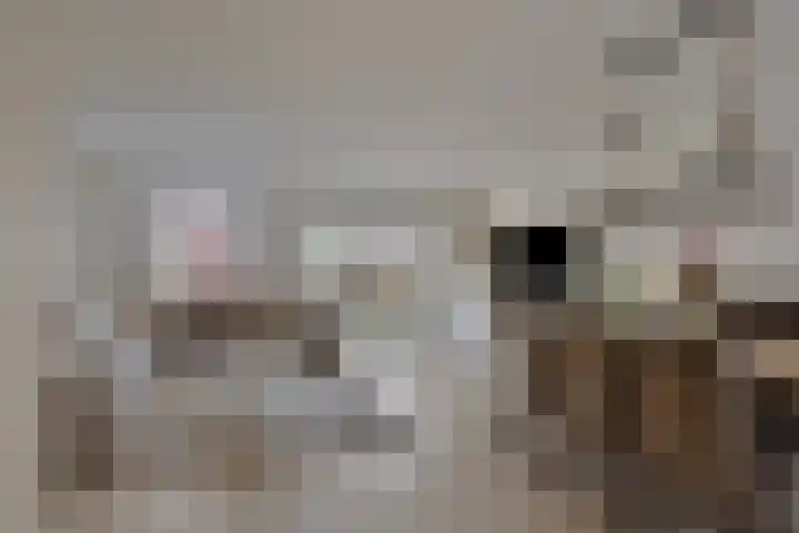 Schouwstraat 19 Lisse thumbnail 5