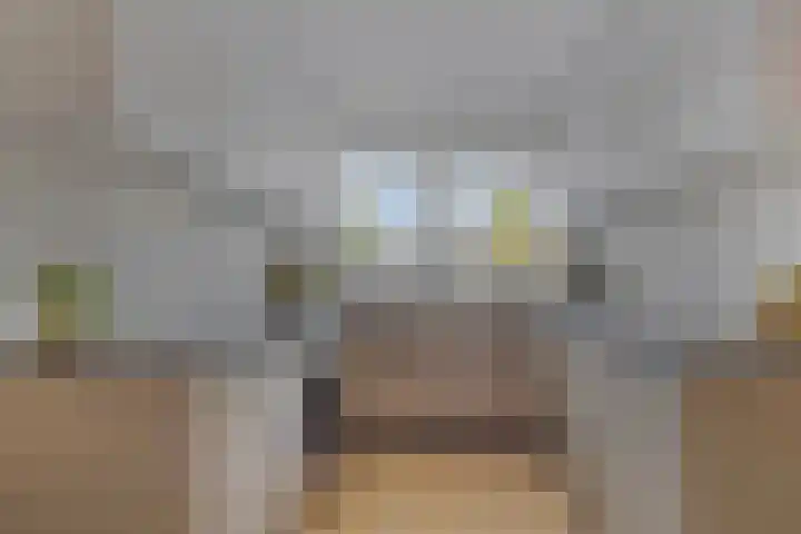 Schouwstraat 19 Lisse thumbnail 9