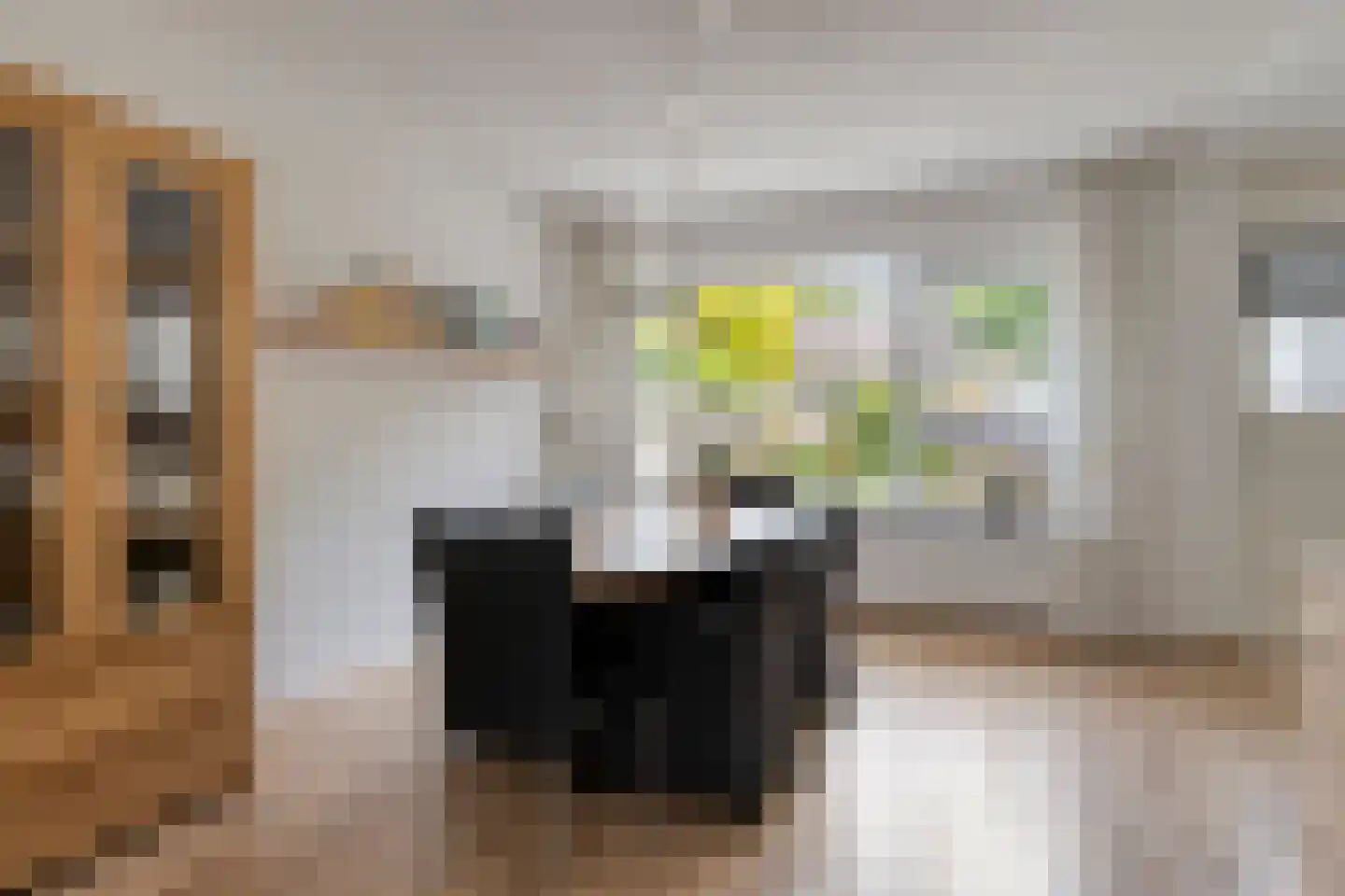 Schouwstraat 43 Alkmaar thumbnail 6