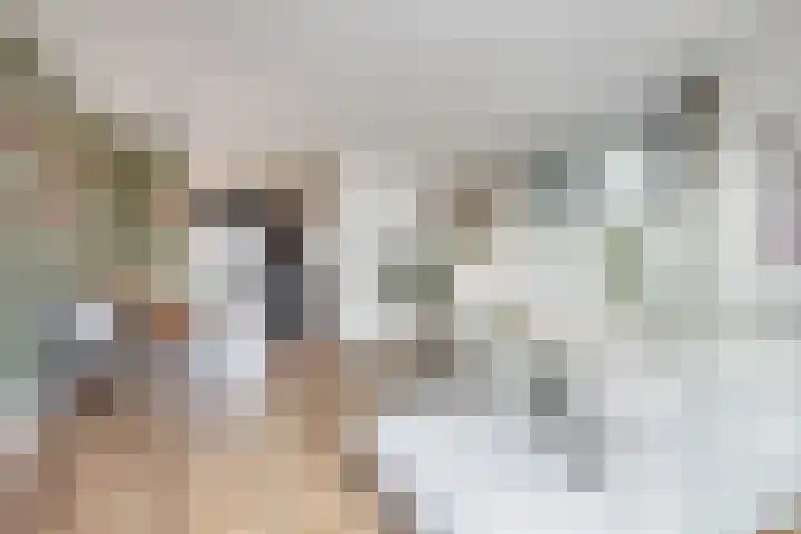 Schouwstraat 8 D Rijsenhout thumbnail 7