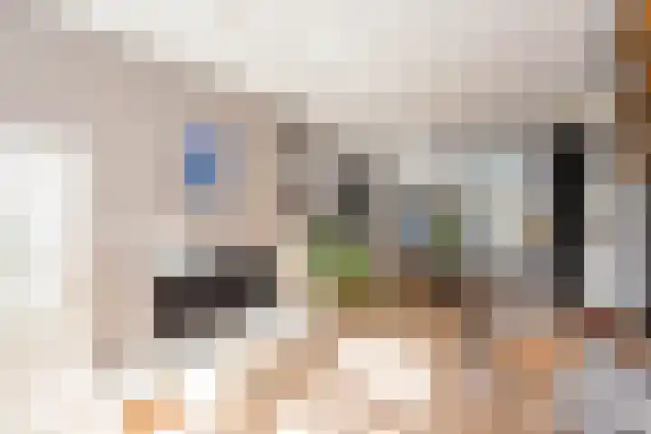 Schouwtjeslaan 13 Haarlem thumbnail 10