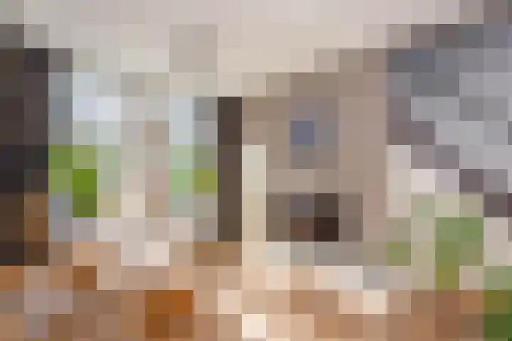 Schouwtjeslaan 13 Haarlem thumbnail 11