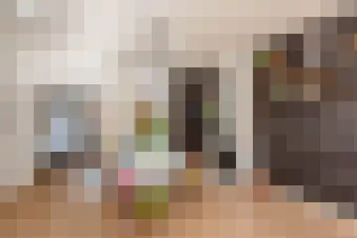 Schouwtjeslaan 13 Haarlem thumbnail 12
