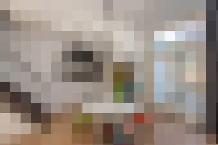 Schouwtjeslaan 13 Haarlem thumbnail 13