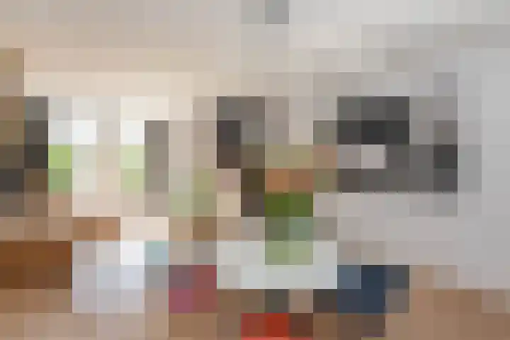 Schouwtjeslaan 13 Haarlem thumbnail 14