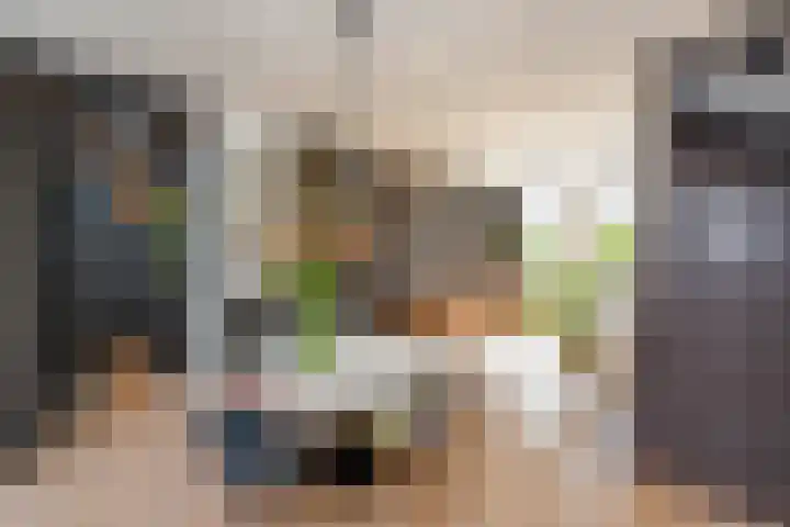 Schouwtjeslaan 13 Haarlem thumbnail 15