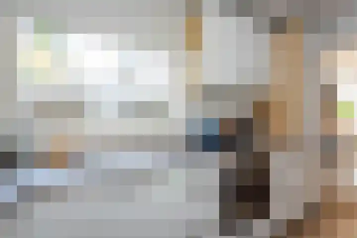 Schouwtjeslaan 13 Haarlem thumbnail 16