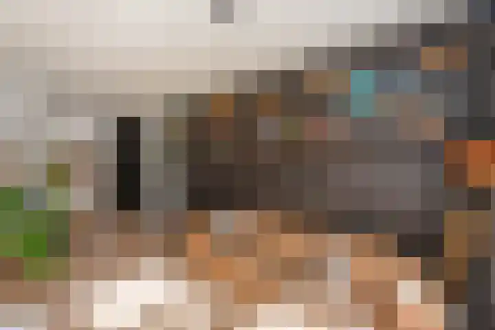 Schouwtjeslaan 13 Haarlem thumbnail 20