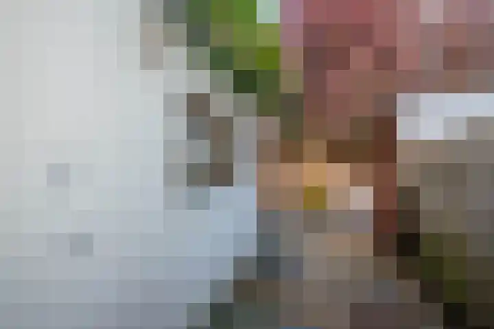 Schouwtjeslaan 13 Haarlem thumbnail 21