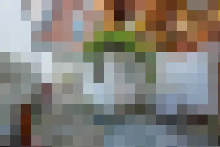 Schouwtjeslaan 13 Haarlem thumbnail 23