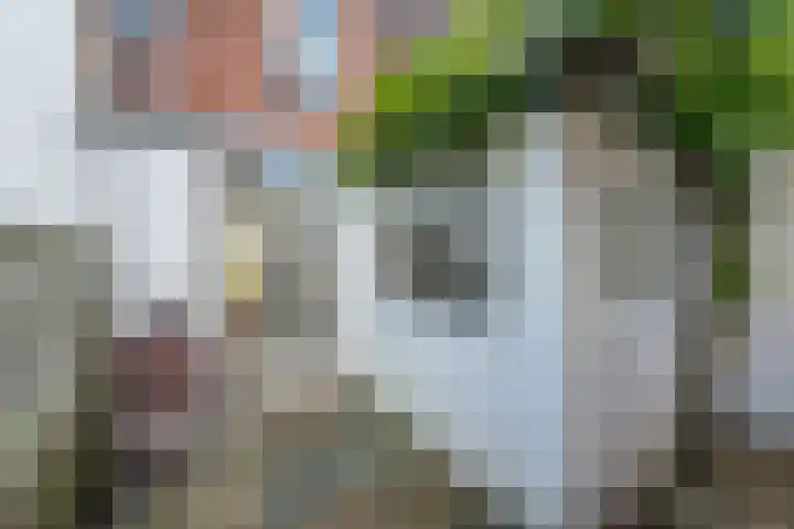 Schouwtjeslaan 13 Haarlem thumbnail 24