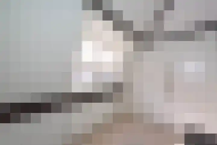 Schouwtjeslaan 13 Haarlem thumbnail 26