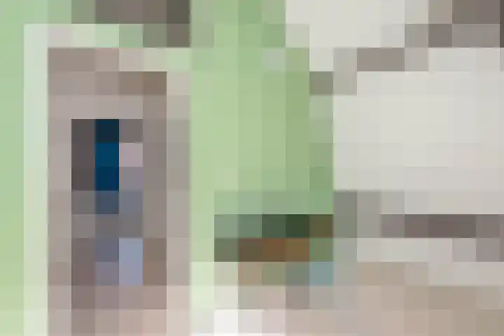 Schouwtjeslaan 13 Haarlem thumbnail 27