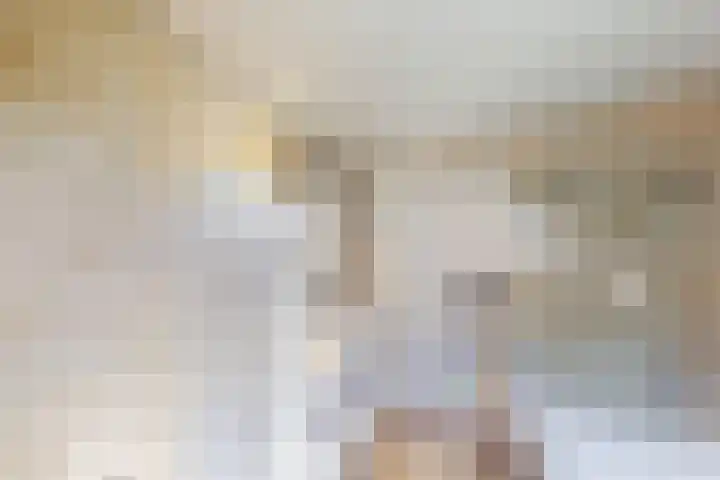 Schouwtjeslaan 13 Haarlem thumbnail 29