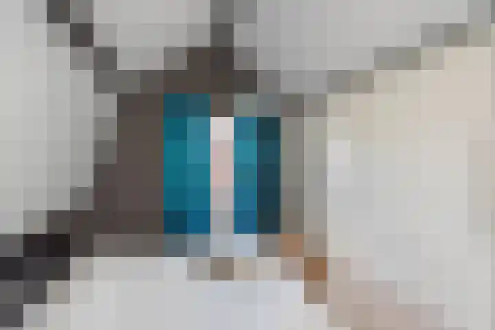 Schouwtjeslaan 13 Haarlem thumbnail 30