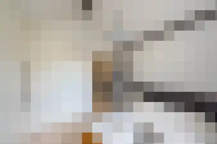 Schouwtjeslaan 13 Haarlem thumbnail 32