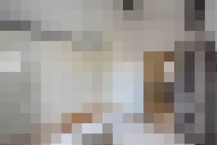 Schouwtjeslaan 13 Haarlem thumbnail 33