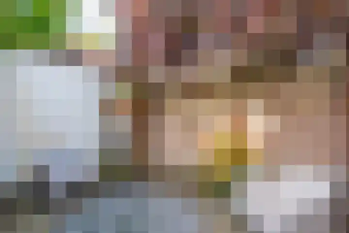Schouwtjeslaan 13 Haarlem thumbnail 4