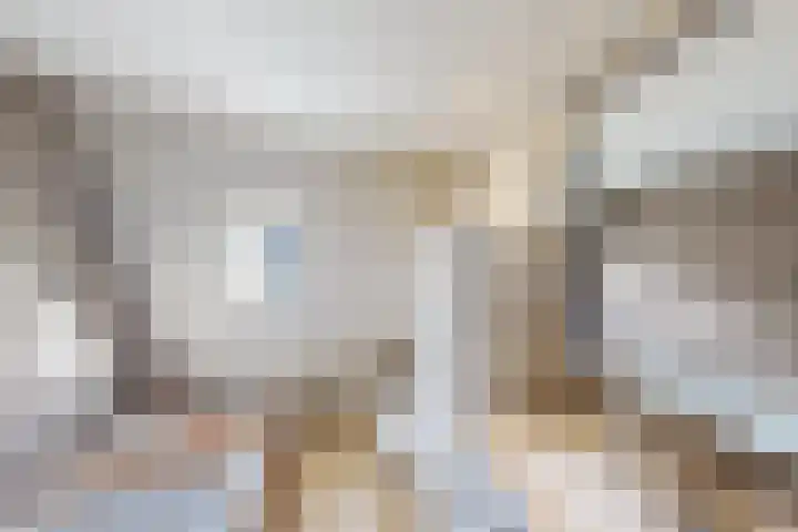 Schouwtjeslaan 13 Haarlem thumbnail 5