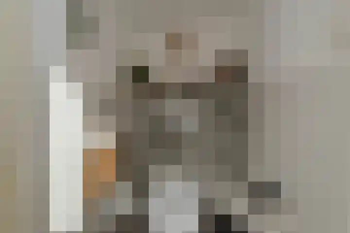 Schouwtjeslaan 13 Haarlem thumbnail 8
