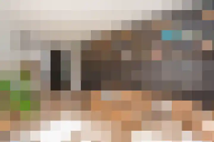 Schouwtjeslaan 13 Haarlem thumbnail 9
