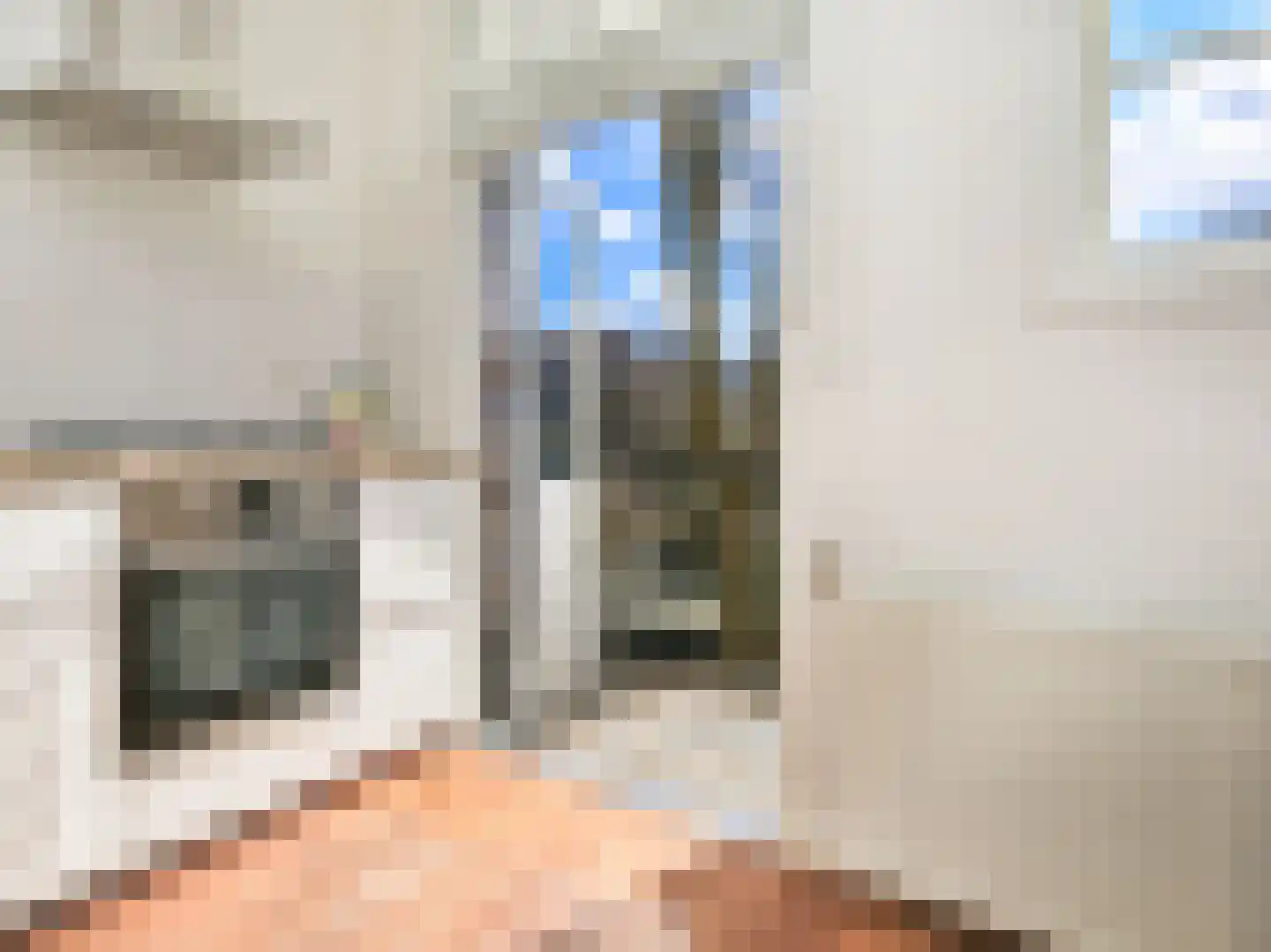 Schouwtjeslaan 16 B Haarlem thumbnail 17