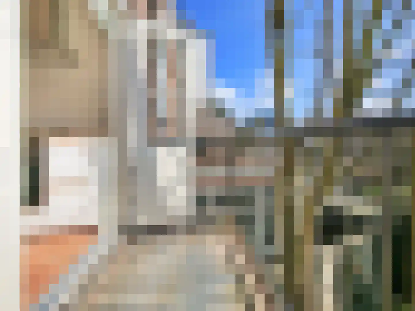 Schouwtjeslaan 16 B Haarlem thumbnail 18