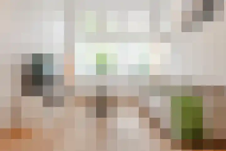 Schouwtjeslaan 27 Haarlem thumbnail 14