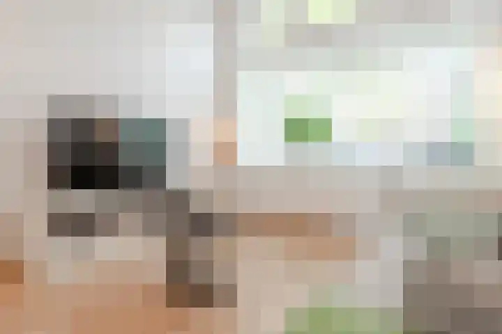 Schouwtjeslaan 27 Haarlem thumbnail 15