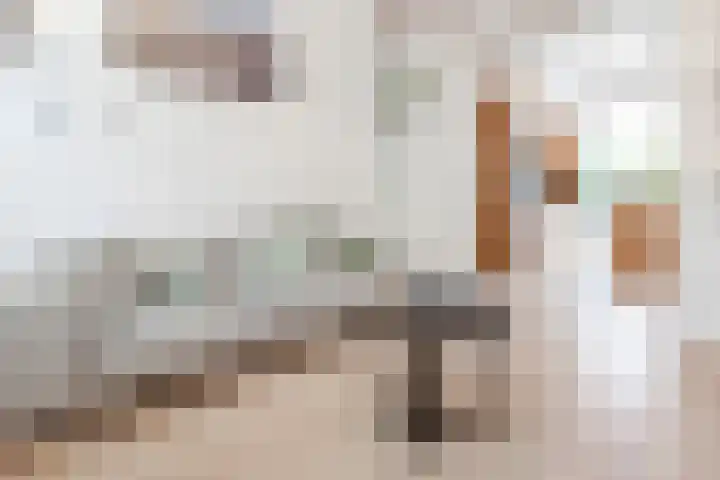 Schouwtjeslaan 27 Haarlem thumbnail 16