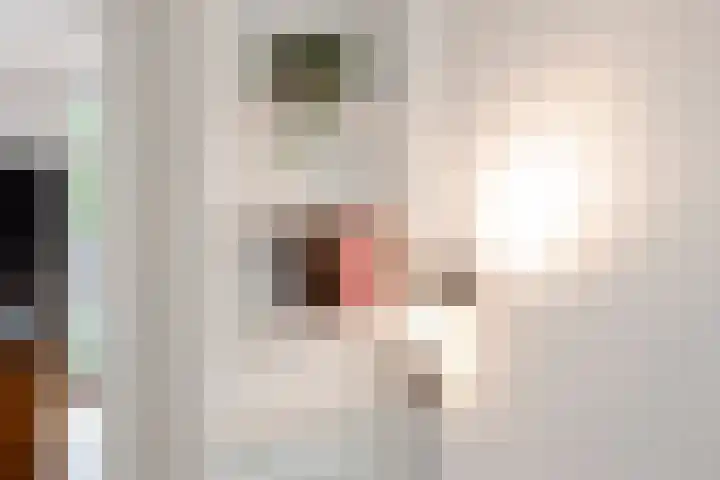 Schouwtjeslaan 27 Haarlem thumbnail 17