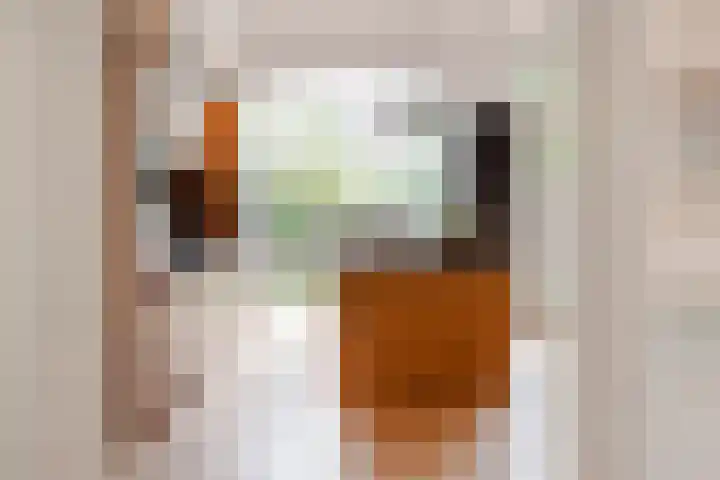 Schouwtjeslaan 27 Haarlem thumbnail 18