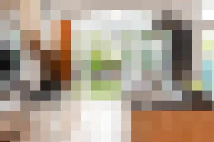 Schouwtjeslaan 27 Haarlem thumbnail 19