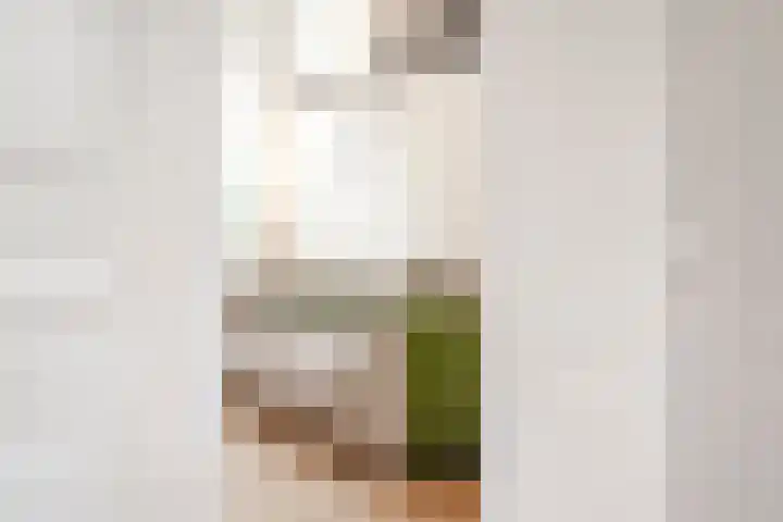Schouwtjeslaan 27 Haarlem thumbnail 20
