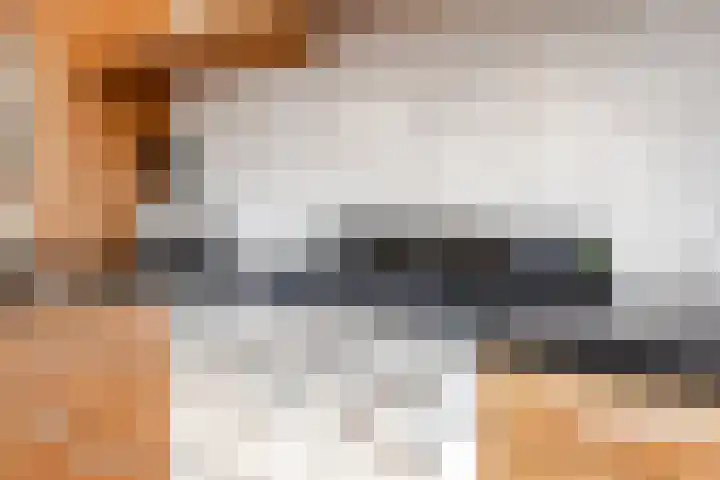 Schouwtjeslaan 27 Haarlem thumbnail 23