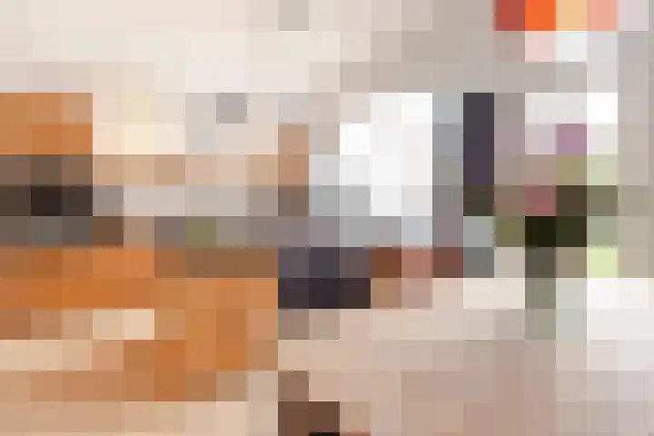 Schouwtjeslaan 27 Haarlem thumbnail 25
