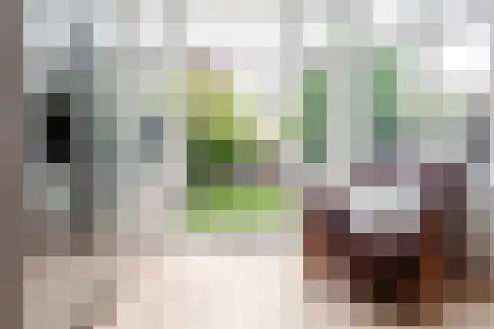Schouwtjeslaan 27 Haarlem thumbnail 26