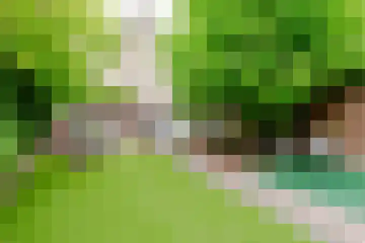 Schouwtjeslaan 27 Haarlem thumbnail 28