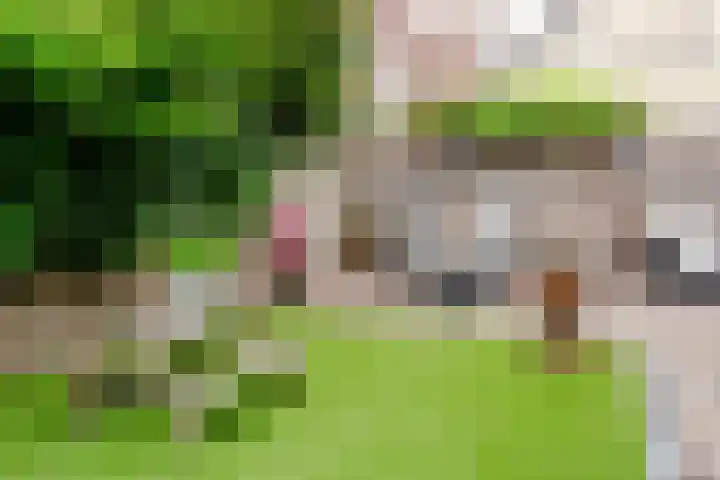 Schouwtjeslaan 27 Haarlem thumbnail 29