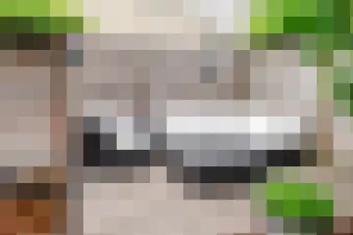 Schouwtjeslaan 27 Haarlem thumbnail 30