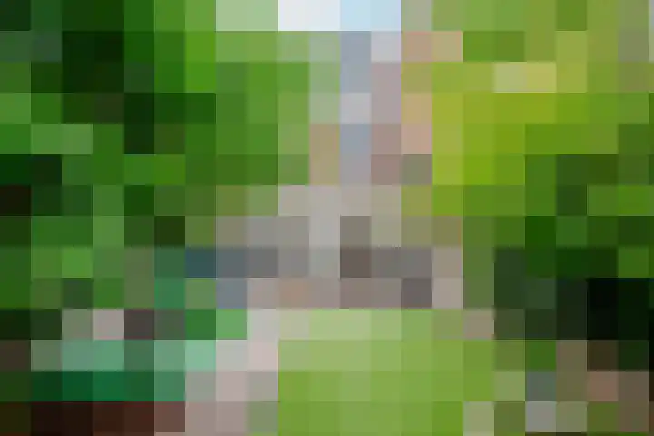 Schouwtjeslaan 27 Haarlem thumbnail 31