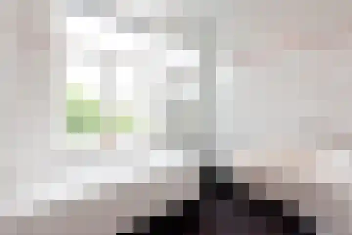 Schouwtjeslaan 27 Haarlem thumbnail 36