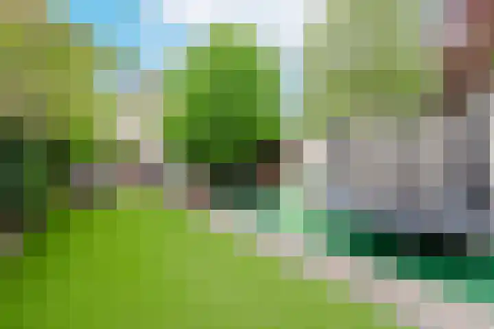 Schouwtjeslaan 27 Haarlem thumbnail 4