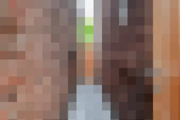Schouwtjeslaan 27 Haarlem thumbnail 52
