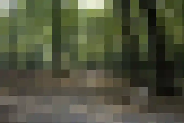Schouwtjeslaan 27 Haarlem thumbnail 55