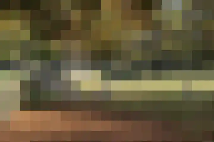 Schouwtjeslaan 27 Haarlem thumbnail 56
