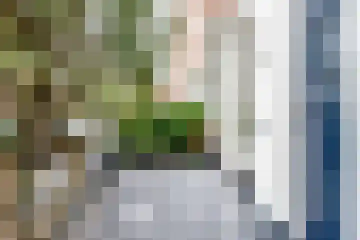 Schouwtjeslaan 27 Haarlem thumbnail 8